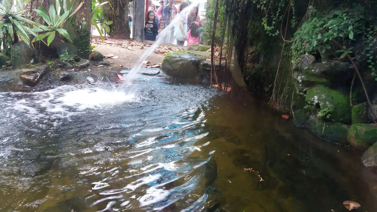 O que fazer em Ubatuba: com chuva, à noite e com crianças