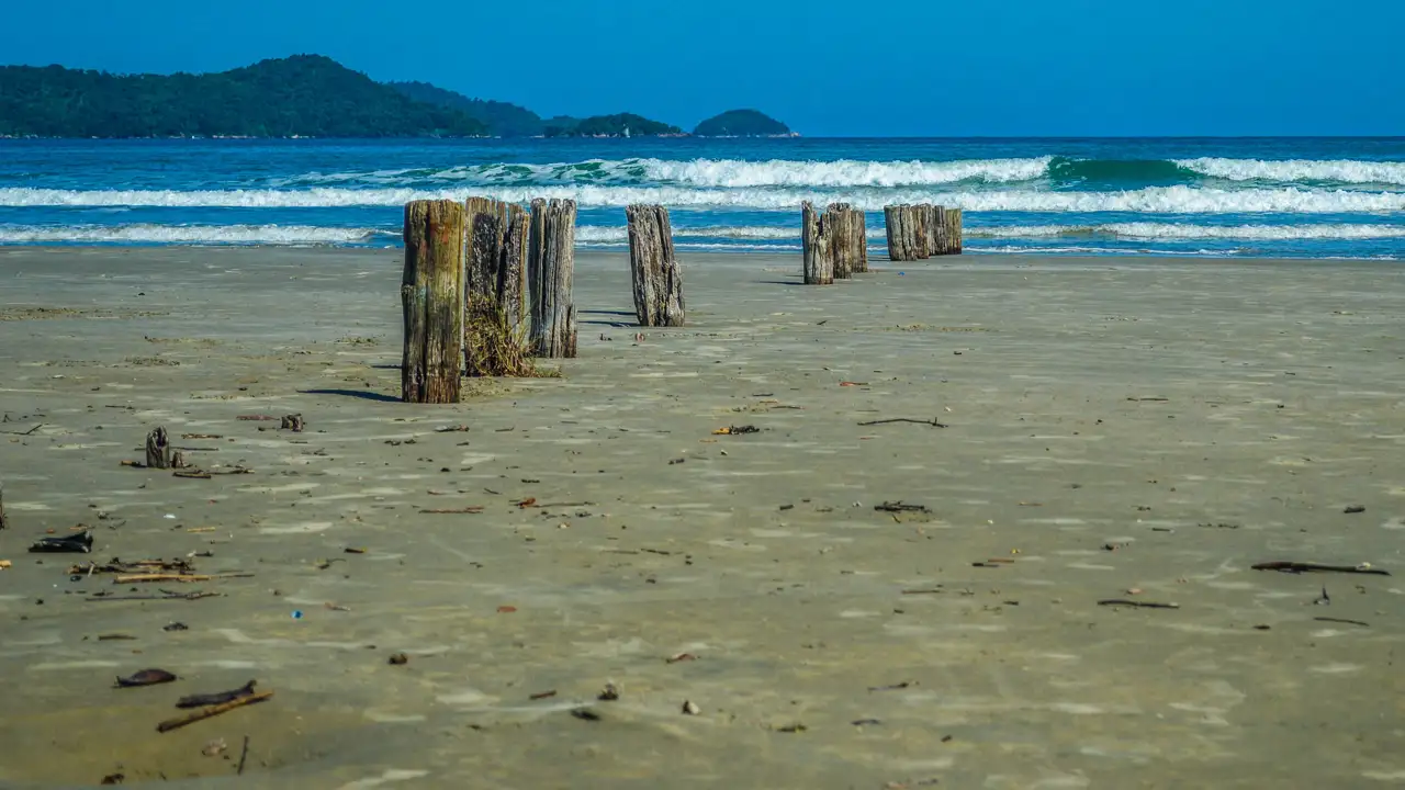Praia da Fazenda (Picinguaba)