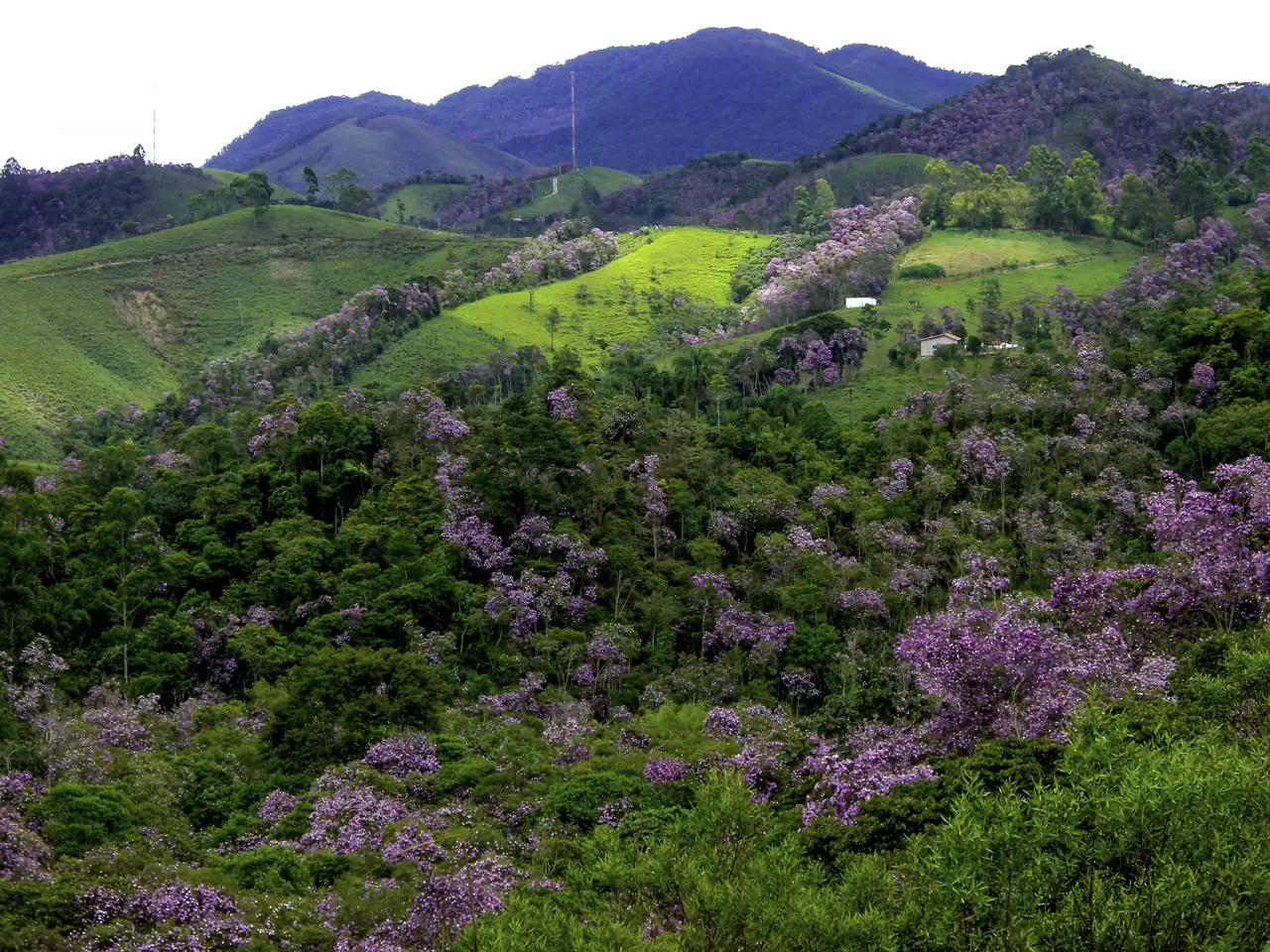 Como chegar a Ubatuba